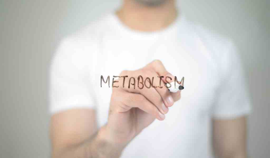 misurare il metabolismo