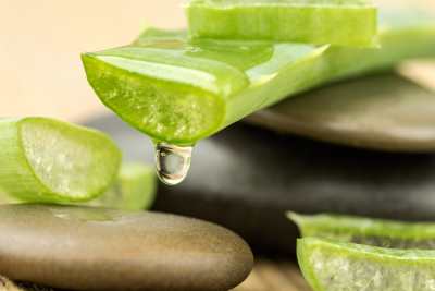 succo di aloe estratto dalla epidermide della foglia