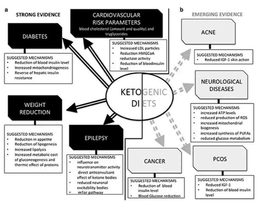 applicazioni della dieta chetogenica