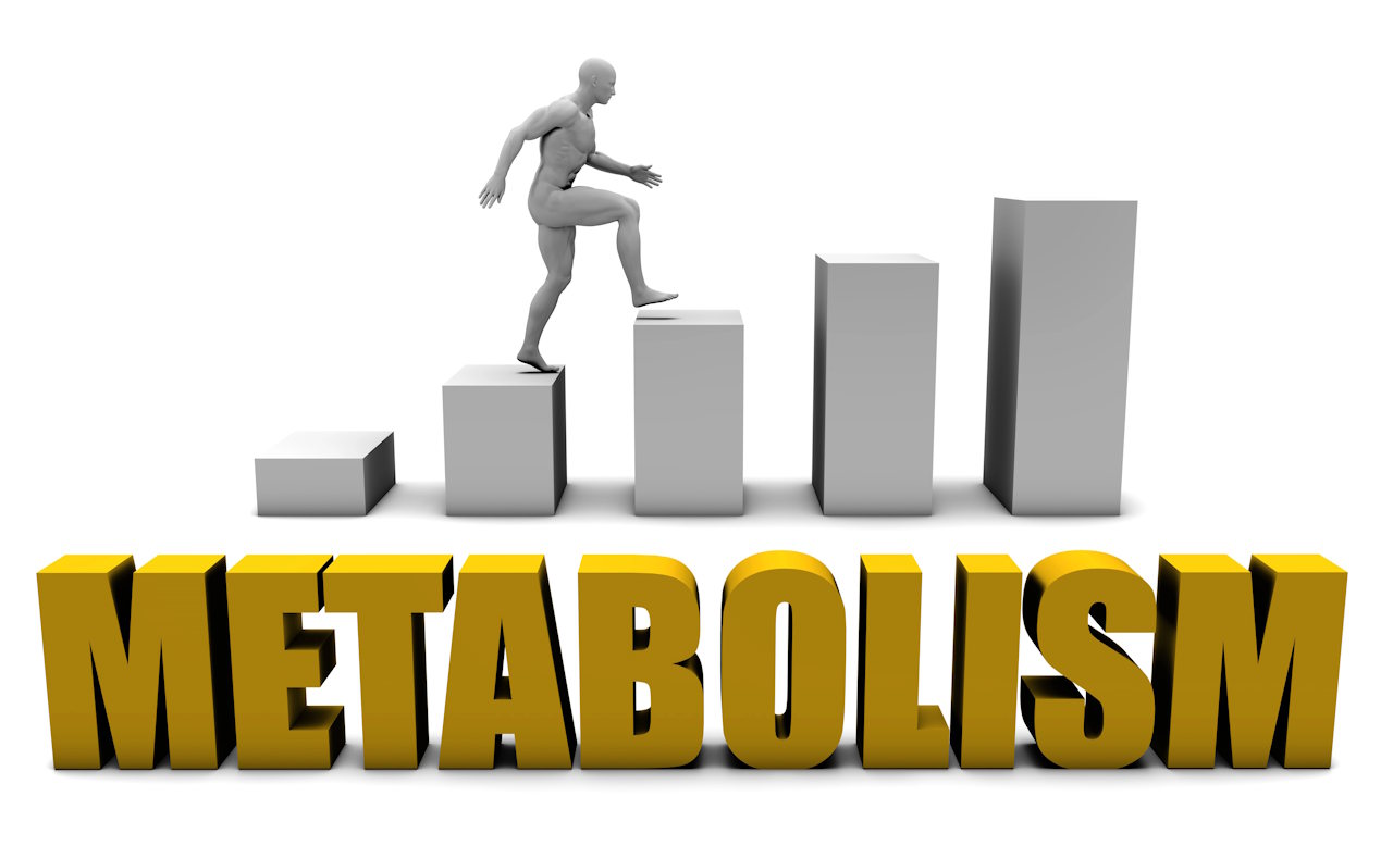 rimedi e soluzioni per accellerare il metabolismo