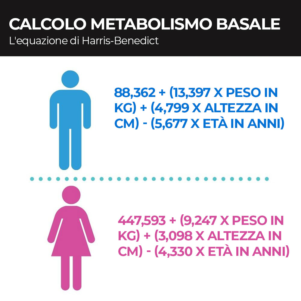 calcolo metabolismo basale