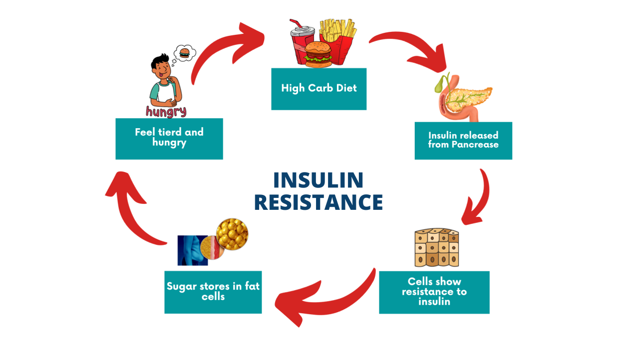 insulino-resistenza