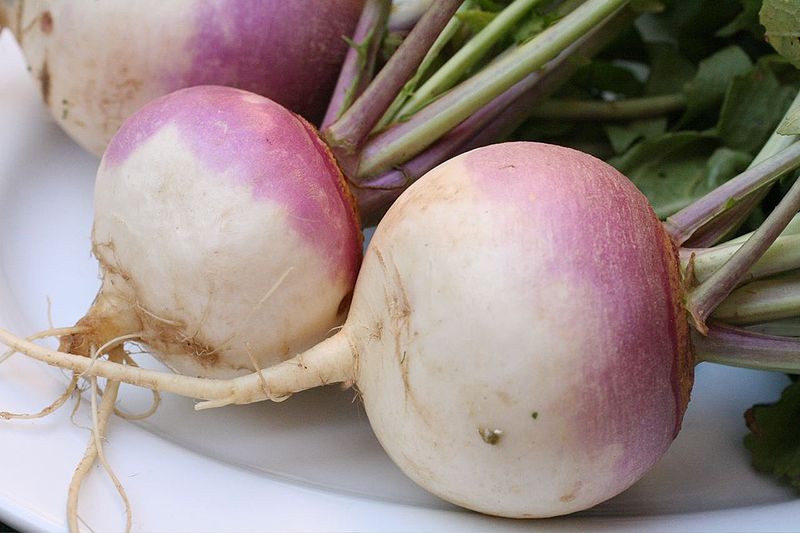 rutabaga