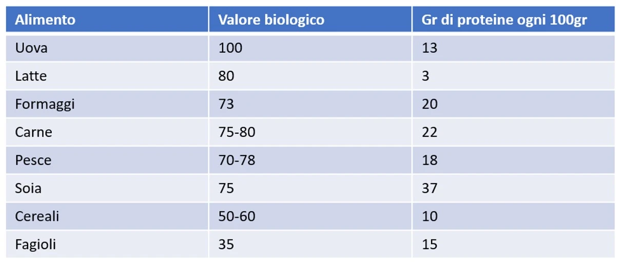 Sarcopenia proteine