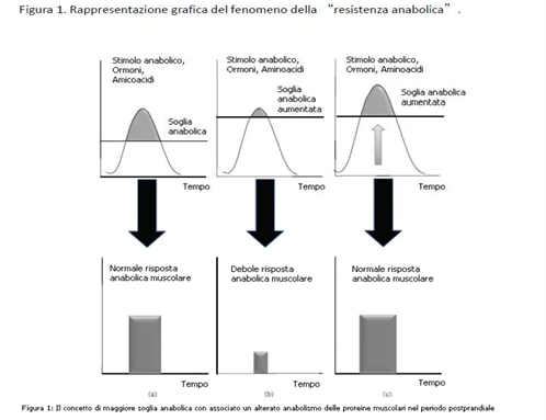 Sarcopenia cura